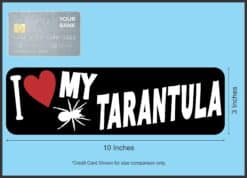 10in x 3in I Love My Tarantula Bumper Sticker Vinyl Animal Vehic