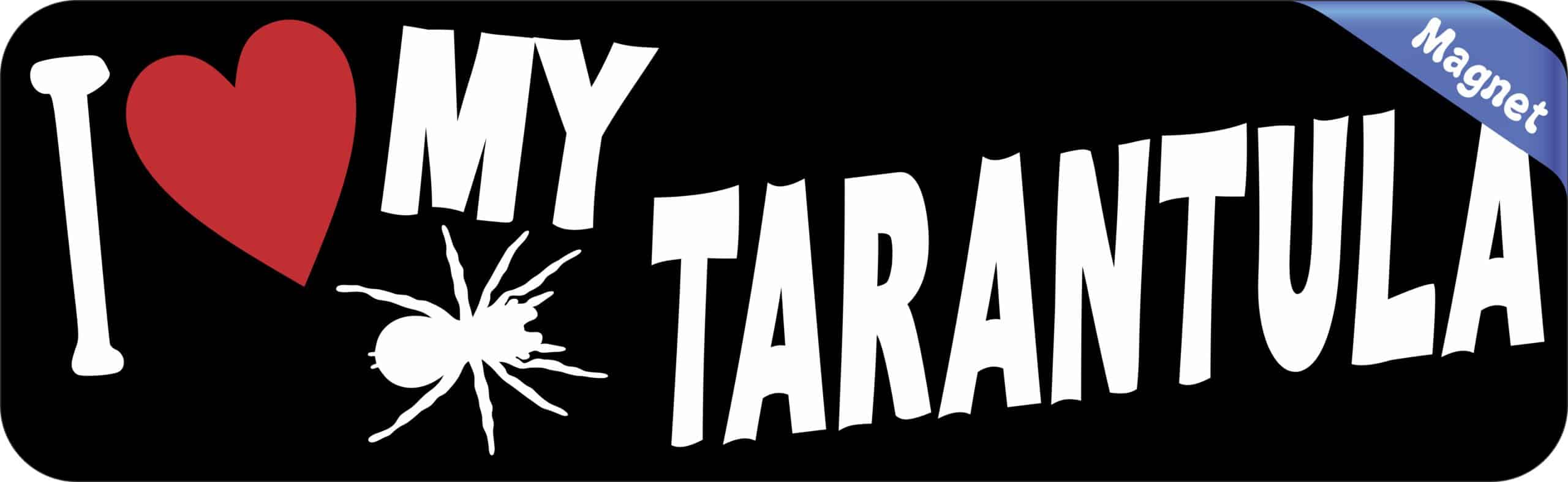 10in x 3in I Love My Tarantula Magnet Vinyl Animal Vehicle Bumpe
