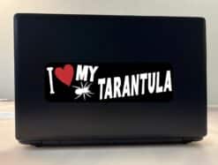 10in x 3in I Love My Tarantula Bumper Sticker Vinyl Animal Vehic
