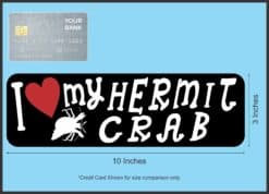 10in x 3in I Love My Hermit Crab Bumper Sticker Vinyl Animal Vehicle Decal