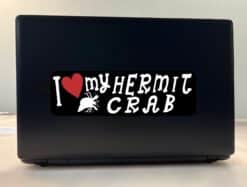 10in x 3in I Love My Hermit Crab Bumper Sticker Vinyl Animal Vehicle Decal