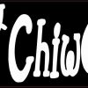 Chiweenie