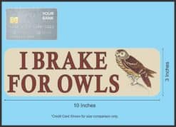 10in x 3in I Brake for Owls Magnet Magnetic Animal Bumper Bird Magnets