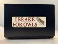 10in x 3in I Brake for Owls Bumper Sticker Vinyl Animal Decal Stickers