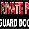 guard dog on duty