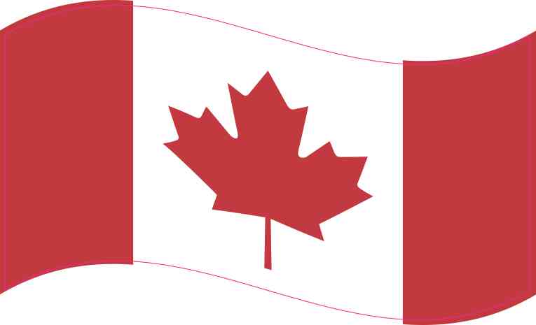 Toronto flag Canada Drapeau sticker 2x4" 50x100mm bumper decal car auto bike
