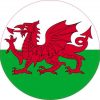 Circle Wales Flag Sticker