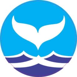 Circle Ocean Whale Tail Sticker