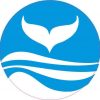 Circle Whale Sticker