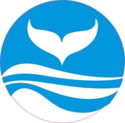 Circle Whale Sticker