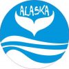 Circle Alaska Whale Sticker