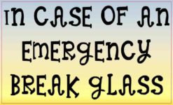 In Case of an Emergency Break Glass Magnet