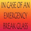 In Case Of An Emergency Break Glass Magnet