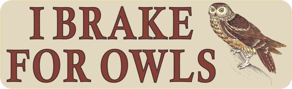 I Brake for Owls Magnet