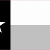 Black and White Texas Flag Magnet