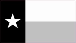 Black and White Texas Flag Magnet
