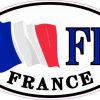 Oval France Flag Sticker