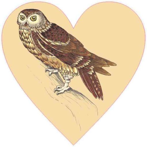 Owl Heart Sticker