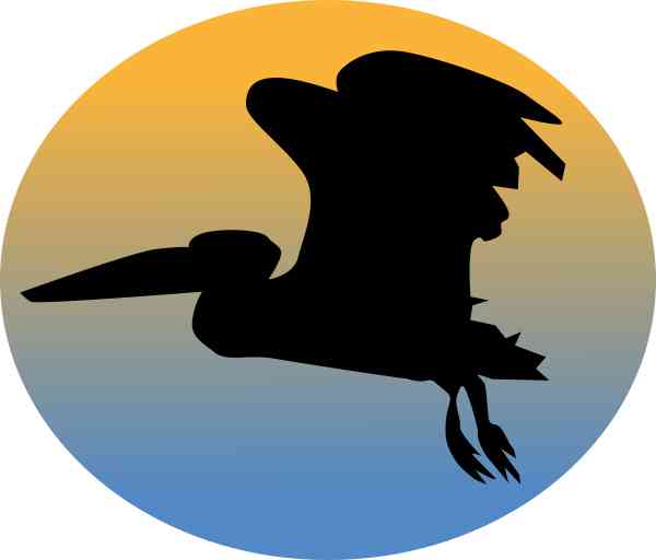 Oval Sunset Pelican Sticker