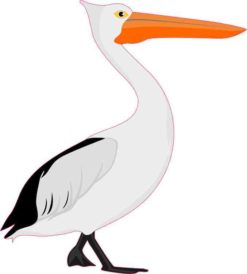 Pelican Sticker