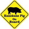 Kunekune Pig On Board Magnet