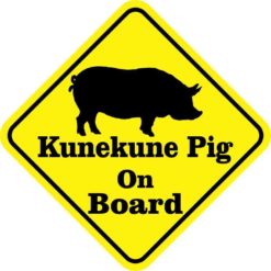 Kunekune Pig On Board Magnet