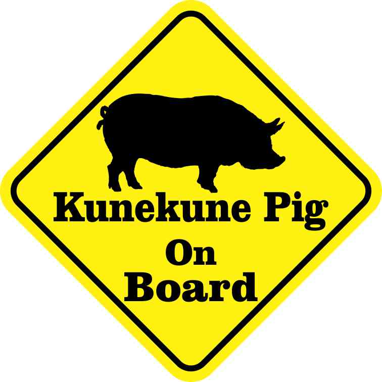 Kunekune Pig On Board Magnet