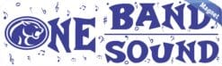 10 x 3 Buna Cougar One Band One Sound Magnet Marching Band Bumper Magnets