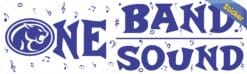 10 x 3 Buna Cougar One Band One Sound Bumper Sticker Marching Bands Decal