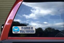 10in x 3in I'd Rather Be Whale Watching Bumper Sticker Vinyl Animal Decal