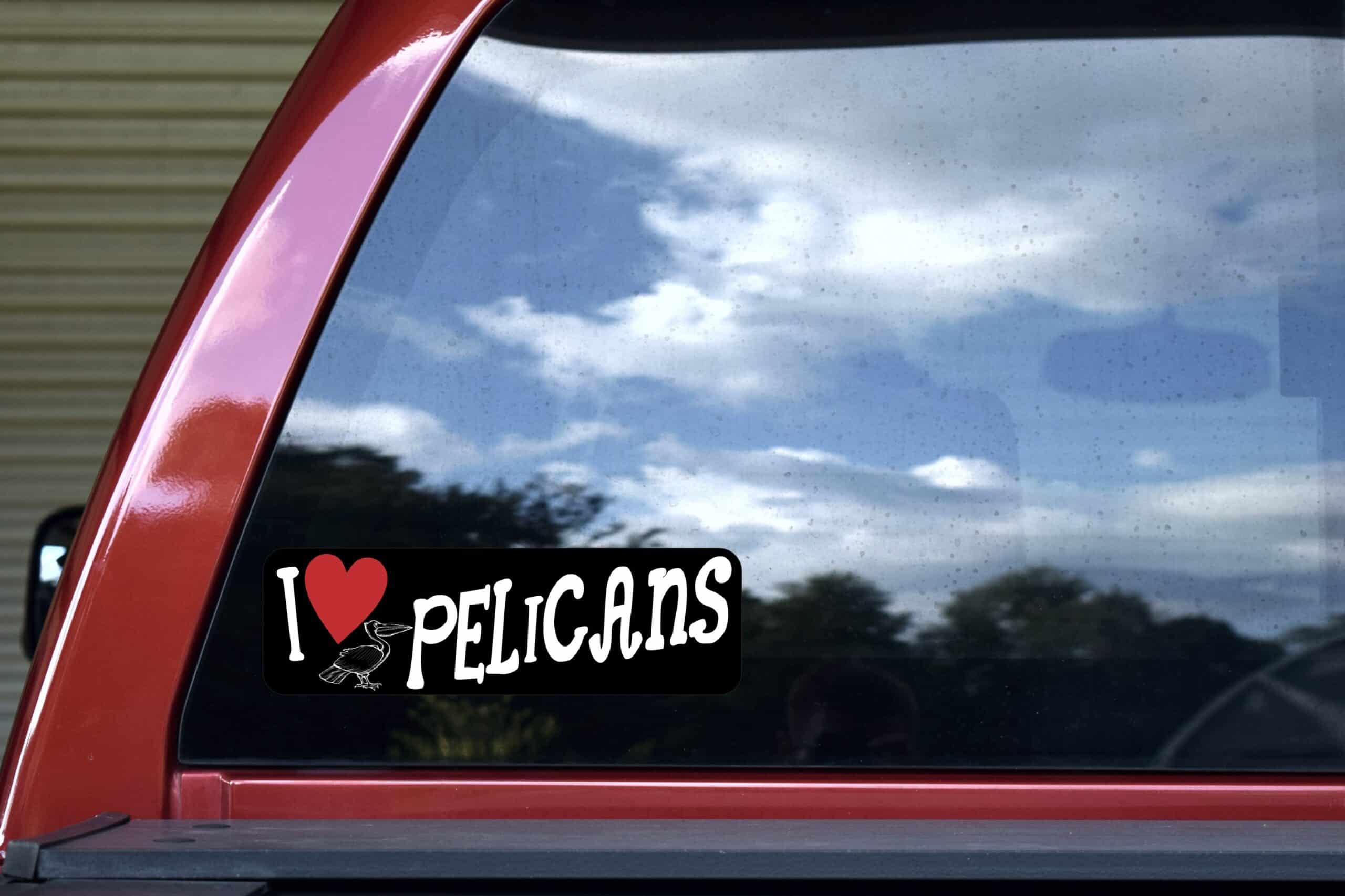 10in x 3in I Love Pelicans Bumper Sticker Vinyl Animal Decal Bird Stickers