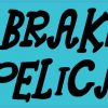 I Brake for Pelicans Magnet