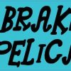 I Brake for Pelicans Bumper Sticker