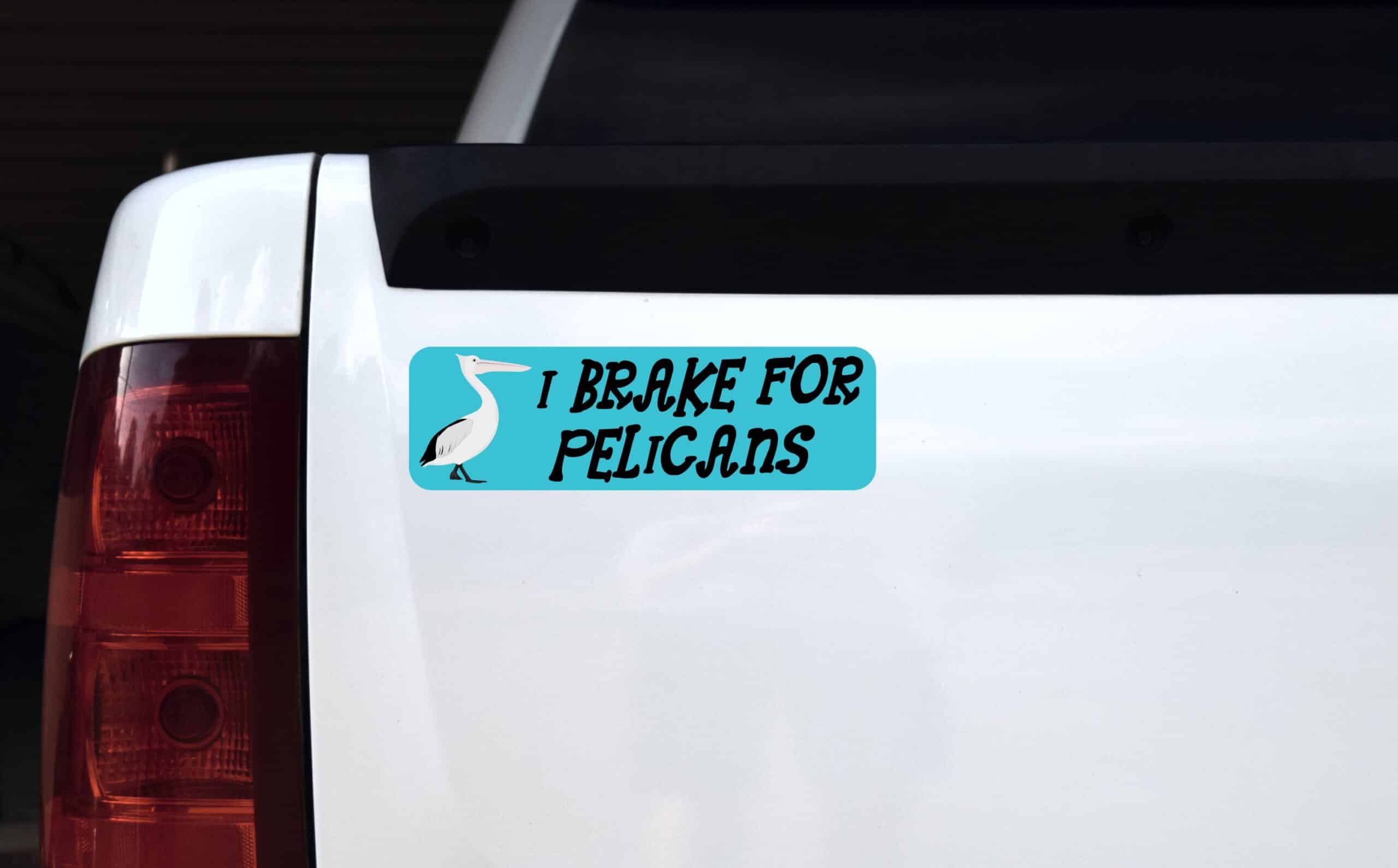 10in x 3in I Brake for Pelicans Bumper Sticker Vinyl Animal Deca