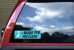10in x 3in I Brake for Pelicans Bumper Sticker Vinyl Animal Deca