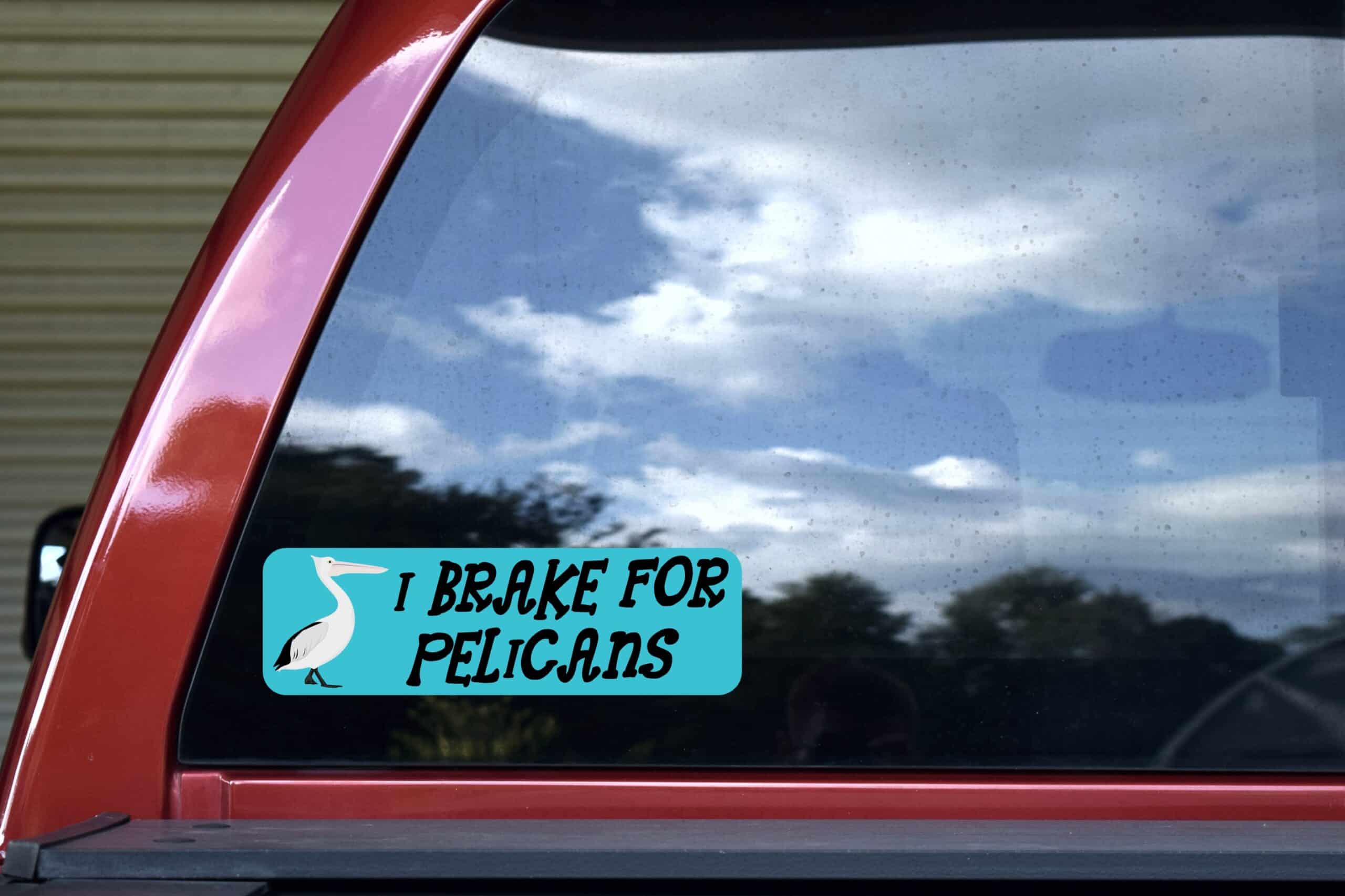 10in x 3in I Brake for Pelicans Bumper Sticker Vinyl Animal Deca