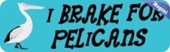 10in x 3in I Brake for Pelicans Magnet Bird Bumper Magnets