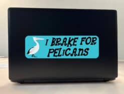 10in x 3in I Brake for Pelicans Bumper Sticker Vinyl Animal Deca