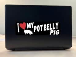10in x 3in I Love My Pot Belly Pig Bumper Sticker Vinyl Pet Animal Decal