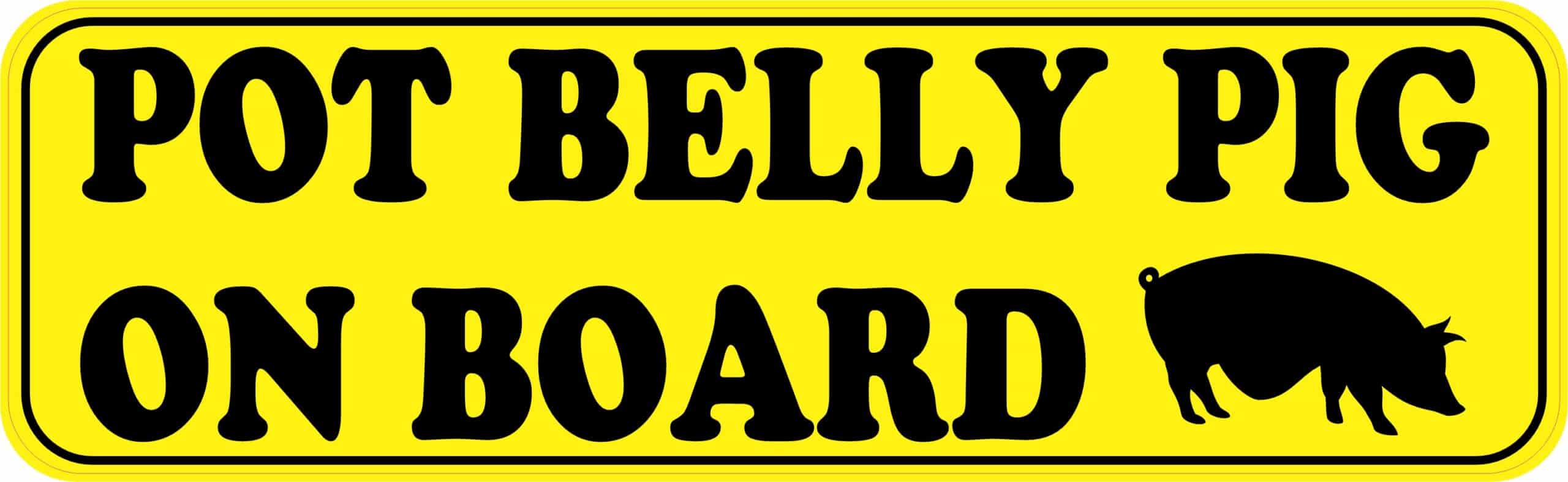10in x 3in Pot Belly Pig on Board Bumper Sticker Vinyl Animal Vehicle Decal