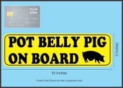 10in x 3in Pot Belly Pig on Board Bumper Sticker Vinyl Animal Vehicle Decal