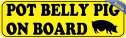 10in x 3in Pot Belly Pig on Board Bumper Sticker Vinyl Animal Vehicle Decal