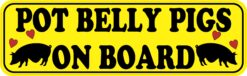 10inx3in Pot Belly Pigs on Board Bumper Sticker Vinyl Animal Vehicle Decal