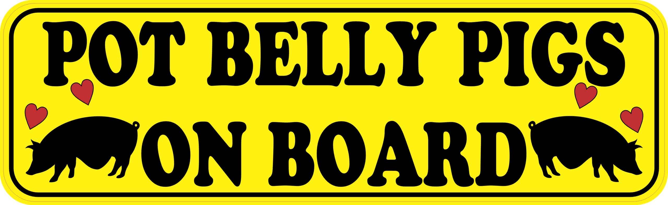 10inx3in Pot Belly Pigs on Board Bumper Sticker Vinyl Animal Vehicle Decal