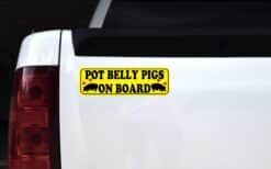 10inx3in Pot Belly Pigs on Board Bumper Sticker Vinyl Animal Vehicle Decal