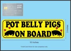 10inx3in Pot Belly Pigs on Board Bumper Sticker Vinyl Animal Vehicle Decal
