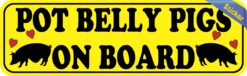 10inx3in Pot Belly Pigs on Board Bumper Sticker Vinyl Animal Vehicle Decal