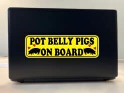 10inx3in Pot Belly Pigs on Board Bumper Sticker Vinyl Animal Vehicle Decal