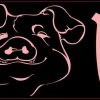 Black Love Pig Bumper Sticker