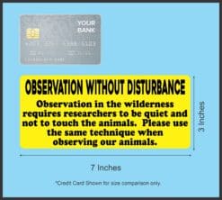 7inx3in Observation Without Disturbance Sticker Vinyl Animal Sig